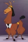 Kronk llama