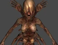Asphyxia