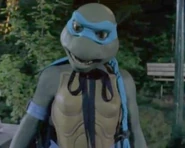 TMNT NM02s