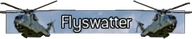 Flyswatter title MW2