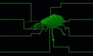 FOT Cockroach target