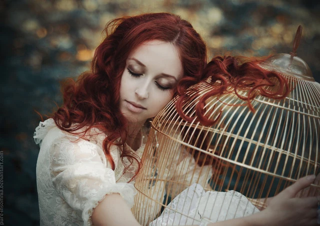 The birds have flown by pure insomnia-d5jd06h