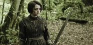 GameOfThronesS3-17 (1)