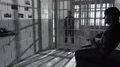 Murphy cell 2