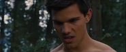 Jacob-growl-bd2