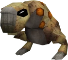 Diseased Kebbit