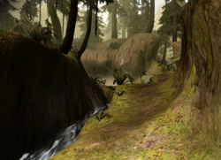Forest Stream