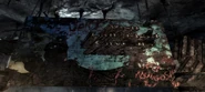 Cartel Little Lamplight