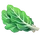 Ingredient-Collard Greens