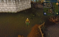 Map clue location Varrock east mine