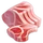 Ingredient-Prime Rib