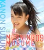 Upfsuzu 013099