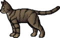 Willie.rogue.png