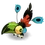 Macawker