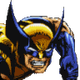 WolverineCOTA