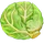 Ingredient-Green Cabbage