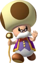 Toadsworth2