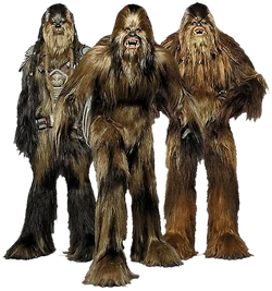 Wookiees-Transparent