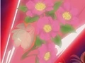 HPC22.Flower