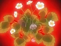 HPC26.Flower