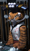 Tigress-palace-winter-feast