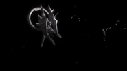 Stargazer & strike noir