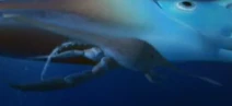 Sword Silverswimmer closeup