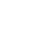 Icon MAX
