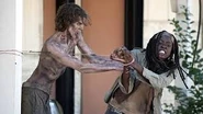 Michonne35872