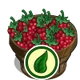 Organic Raspberry Bushel-icon