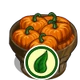 Organic Pumpkin Bushel-icon