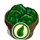 Organic Broccoli Bushel-icon