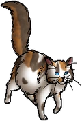 Poppyfrost.queen