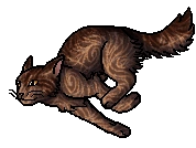 Fish Leap.softpaw