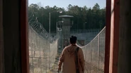 Twd315-001978