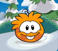 Orange Puffle trans