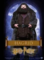 Hagrid PS poster.jpg