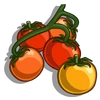 Currant Tomato-icon
