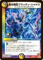 Dm-p75-y11