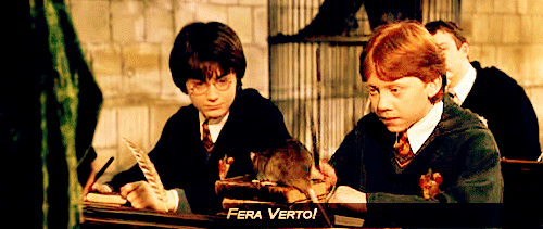 18 Signs That You Are The Ron Weasley Of Your Friend Group Mugglenet