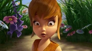 Fawn.05