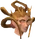 Char chathead