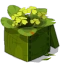Herbalist Box