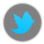Twitter icon