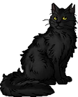 Graystripe.warrior