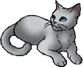 Willowpelt.star