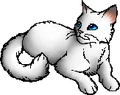 Snowfur.star