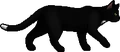 Ravenpaw.loner