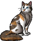 Poppyfrost.warrior
