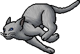 Dove's Wing.softpaw